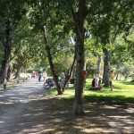 25 Mantova Parco della Scienza