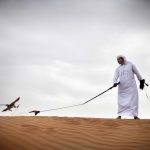 DUBAI FOTO 30 Desert and Falcon