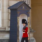 LONDRA 04 Buckingham Palace sentry guard