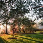 Parque del Oeste madrid